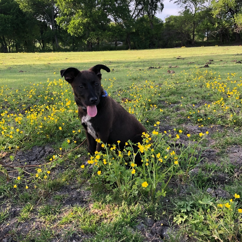 Meet your Posher, Jenn